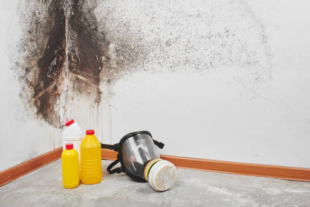 Water Damage Restoration in Milford, OH