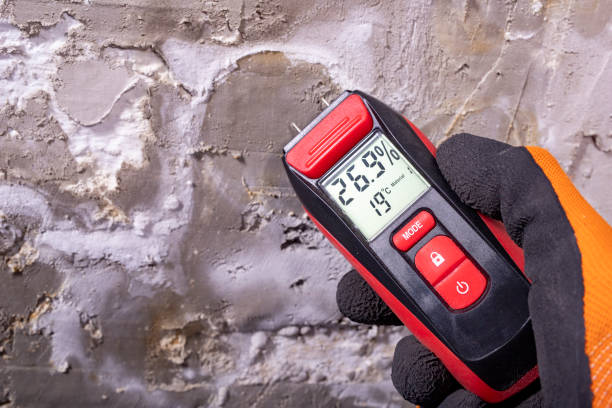 Best Certified Mold Removal  in Milford, OH