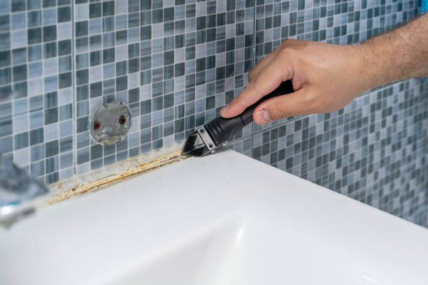 Best Mold Removal and Inspection  in Milford, OH